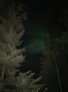 So hard to capture but managed to get this shot of our magical Northern Lights. So glad we all decided to look up last night! 