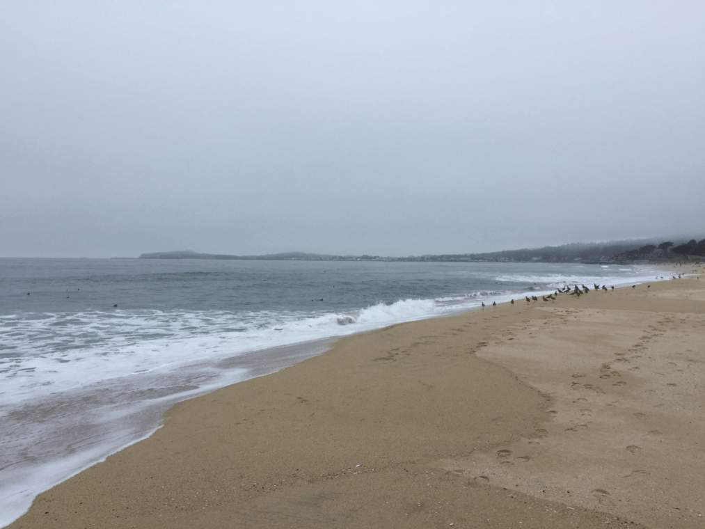 hmb march 31 beach.png